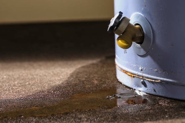 Best Flood damage cleanup  in Emerson, NJ