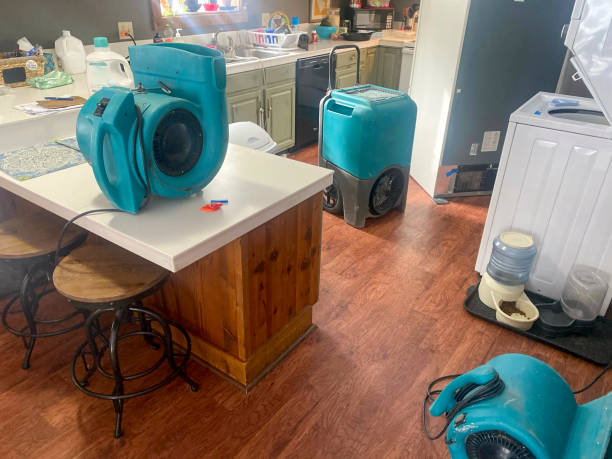 Best Water damage restoration near me  in Emerson, NJ