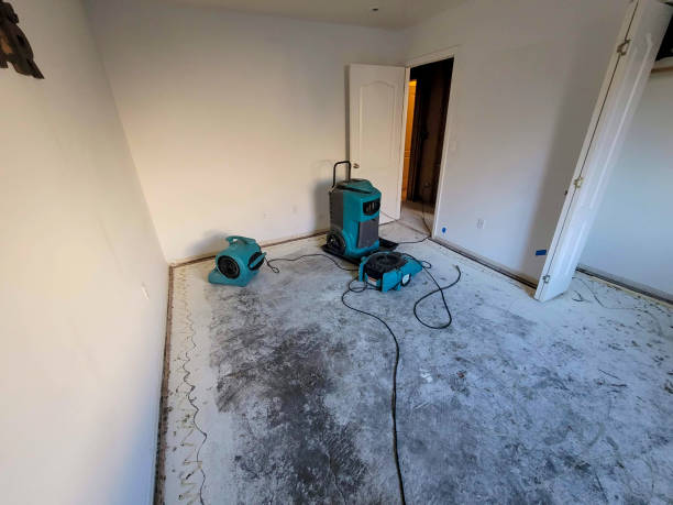 Best Basement water damage restoration  in Emerson, NJ