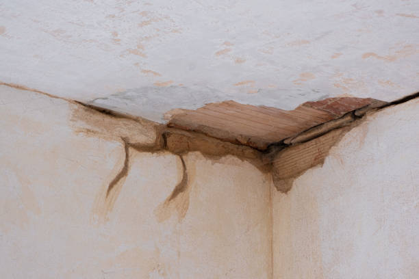 Best Water damage restoration experts  in Emerson, NJ