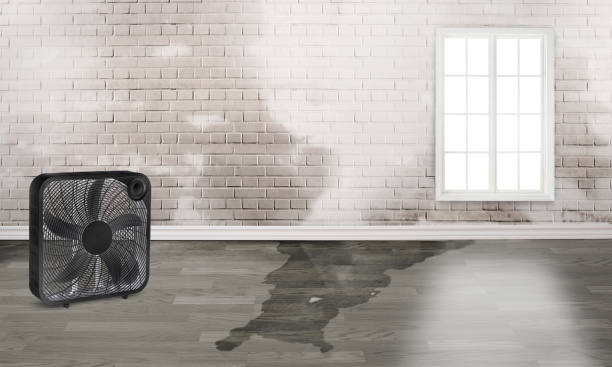Best Emergency water damage restoration  in Emerson, NJ