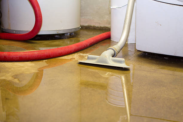 Best Ceiling water damage repair  in Emerson, NJ