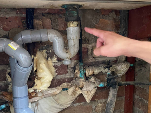Best Water damage restoration near me  in Emerson, NJ